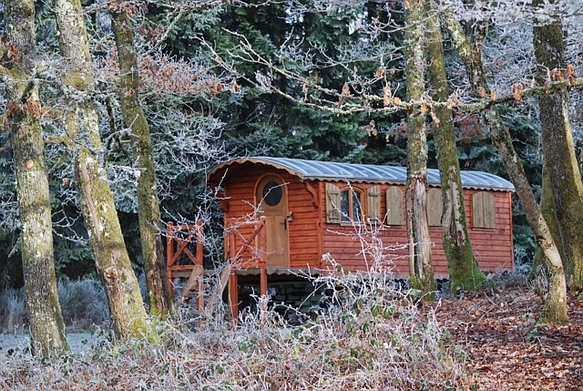 Roulotte dans le Jura en fôret.