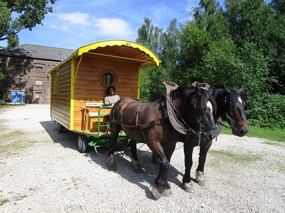 Photo Extérieur des roulottes hippomobile 4