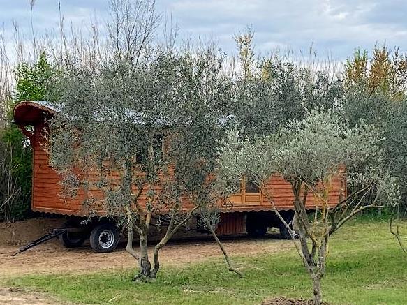 roulotte région côtes d'Azur, les Alpilles.