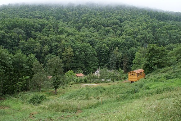 Roulotte en plein milieu de la nature.