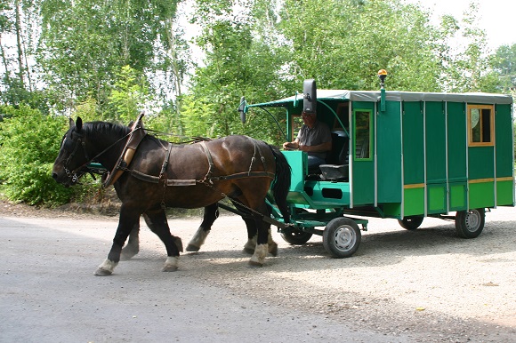 roulotte Baroudeuse 4